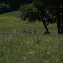 110529_MTB_Festival_Tegernsee_1022