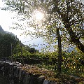 110830_0903_Sommercamp_Arco_123