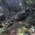 110830_0903_Sommercamp_Arco_746