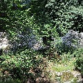 110830_0903_Sommercamp_Arco_747